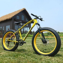 沙滩雪地山地自行车 变速 减震双碟刹自行车20寸26寸