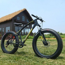 沙滩雪地山地自行车 变速 减震双碟刹自行车20寸26寸