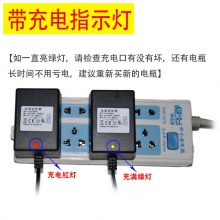 6V800mA童车电池充电器儿童摩托车充电器欧规铅酸电池用