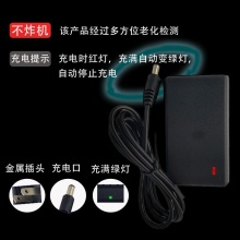 儿童电动车充电器6V12V童车摩托车四轮遥控汽车玩具车电源适配器