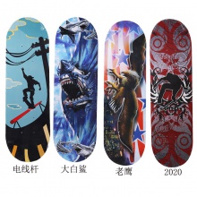 批发双翘4轮滑板 60cm男女初级滑板 铝支架儿童四轮滑板