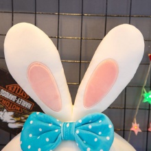 厂家直供可爱小兔子公仔毛绒玩具玩偶女孩床上睡觉抱枕儿童布娃娃