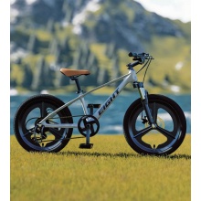 镁合金儿童自行车大童男女孩8-14岁20寸学生脚踏双碟刹变速山地车