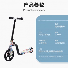 两轮儿童滑板车3-6-9岁小孩玩具滑行车涂鸦大轮可折叠踏板车