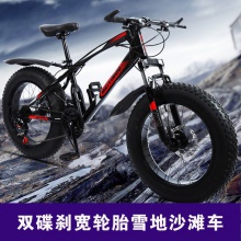 厂家供应20寸双碟刹4.0宽轮胎雪地沙滩车户外男女骑行越野自行车