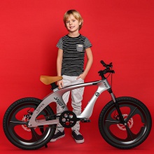 新款合金儿童自行车男女孩脚踏单车中大2岁到10岁 14寸16寸