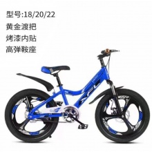 儿童自行车烤漆内贴双碟刹18寸20寸22寸一体轮山地车男女孩单车