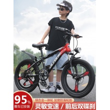 儿童自行车山地车学生车6-7-9-11-14岁男女孩单车脚踏车碟刹变速