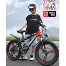 儿童自行车山地车学生车6-7-9-11-14岁男女孩单车脚踏车碟刹变速