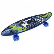 24寸小鱼板 香蕉板手提鱼板 PU闪光轮 四轮塑料滑板 供货厂家