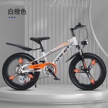 自行车儿童中大童7-13岁女孩变速山地车小学生男孩脚踏