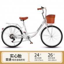 轻便通勤女款淑女复古自行车女士代步单车上班20.22.24寸女大学生