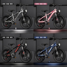 轻便儿童自行车6-12-15岁男孩小学生中大童20寸变速山地减震单车