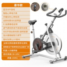 磁控动感单车家用自行脚踏车静音瘦身健身车运动健身器材