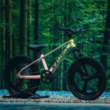 儿童自行车18-22寸镁合金变速自行车儿童6-12岁男女童车儿童单车